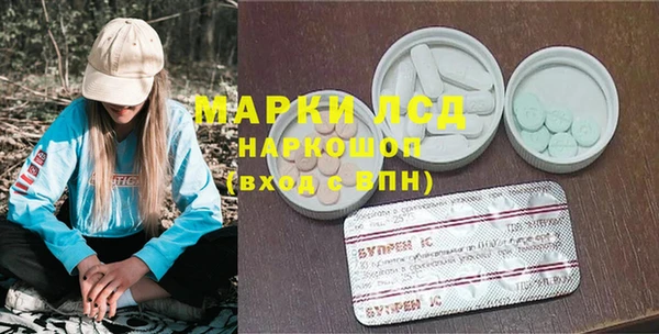 ПСИЛОЦИБИНОВЫЕ ГРИБЫ Арсеньев
