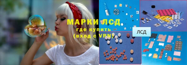 ПСИЛОЦИБИНОВЫЕ ГРИБЫ Арсеньев