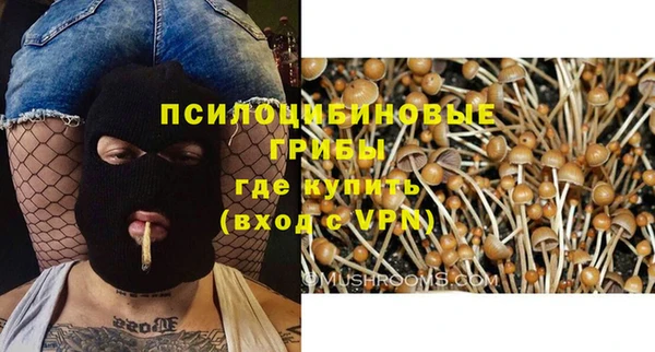 ПСИЛОЦИБИНОВЫЕ ГРИБЫ Арсеньев