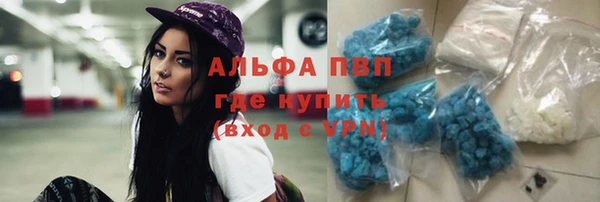 спиды Аркадак