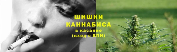 ПСИЛОЦИБИНОВЫЕ ГРИБЫ Арсеньев