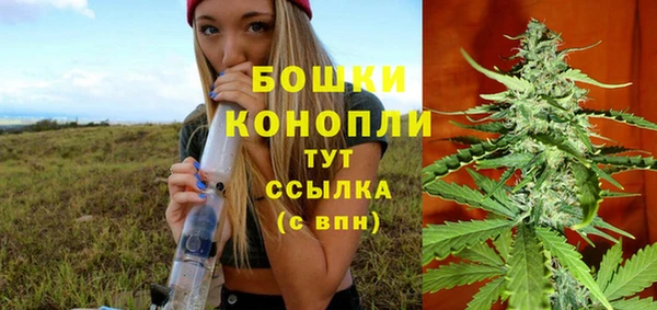 ПСИЛОЦИБИНОВЫЕ ГРИБЫ Арсеньев