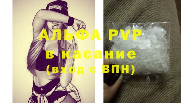 спиды Аркадак