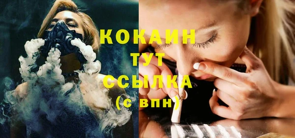 ПСИЛОЦИБИНОВЫЕ ГРИБЫ Арсеньев