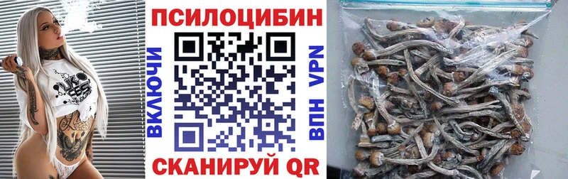 гидра рабочий сайт  Валдай  Псилоцибиновые грибы Cubensis 